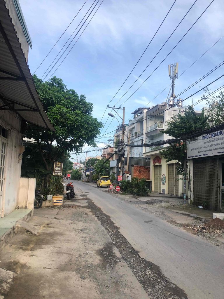 4531348 ảnh đại diện 1