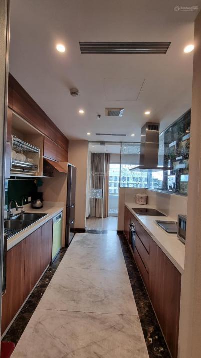 4526370 ảnh đại diện 2