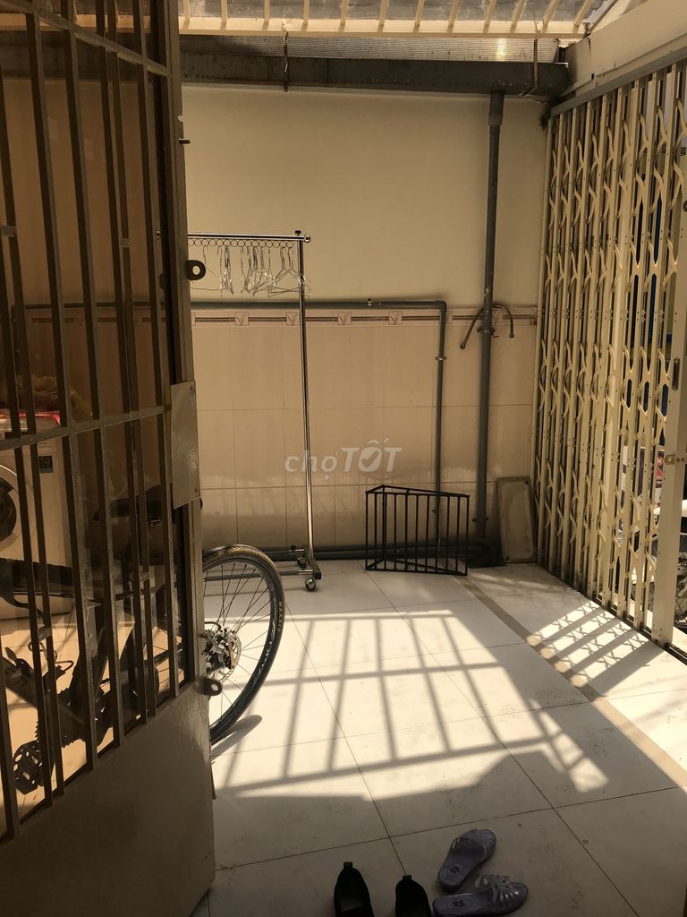 4531553 ảnh đại diện 2