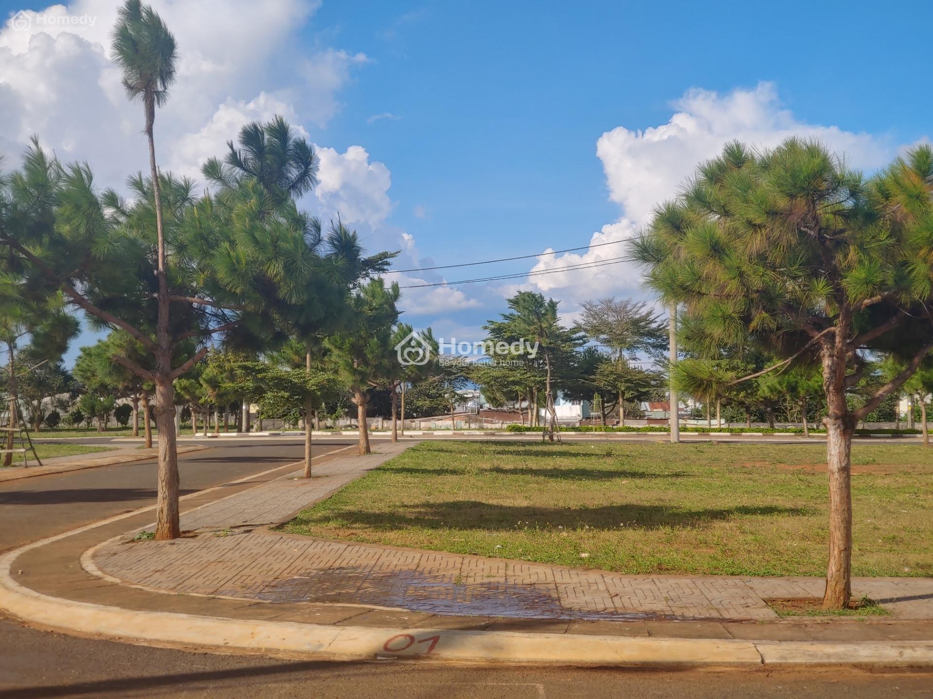 4535208 ảnh đại diện 1