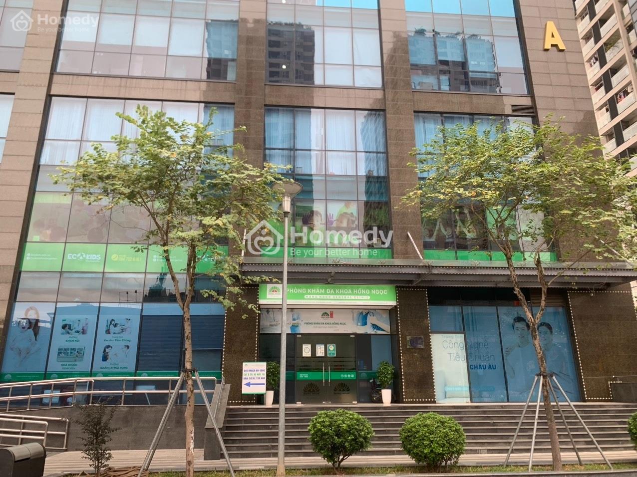4536873 ảnh đại diện 2