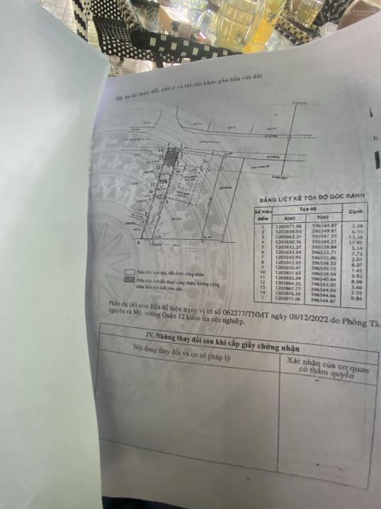 4538049 ảnh đại diện 2