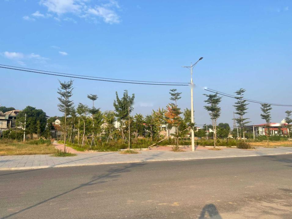 4533765 ảnh đại diện 2