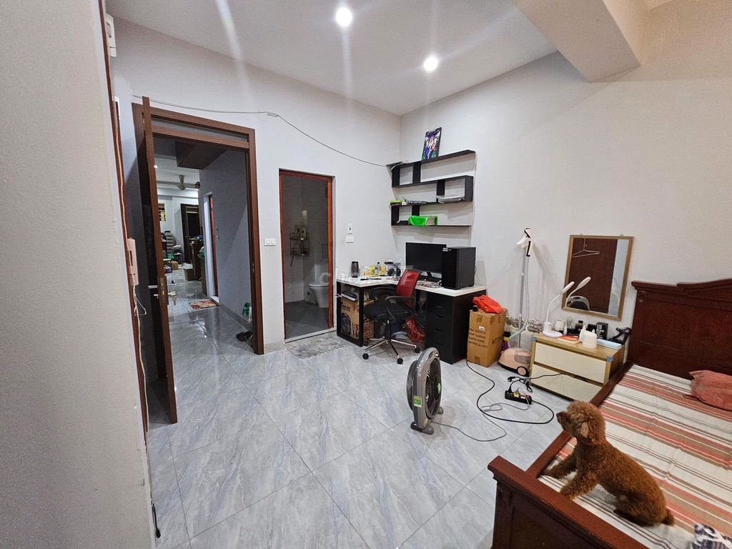 4534309 ảnh đại diện 1