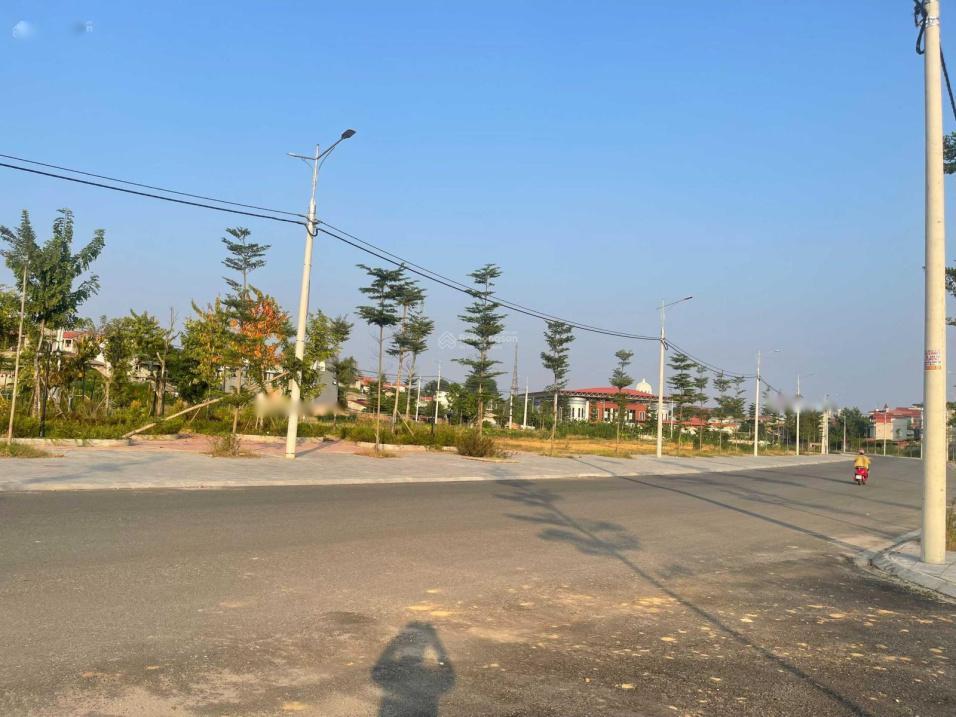 4533765 ảnh đại diện 1