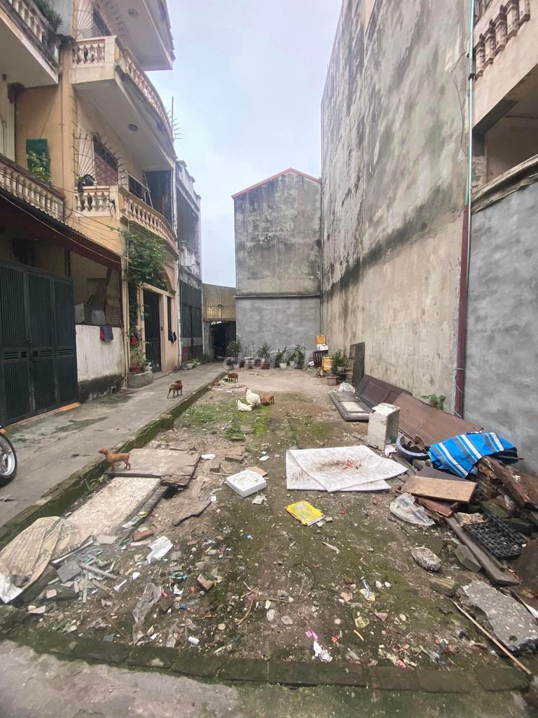 4534206 ảnh đại diện 2