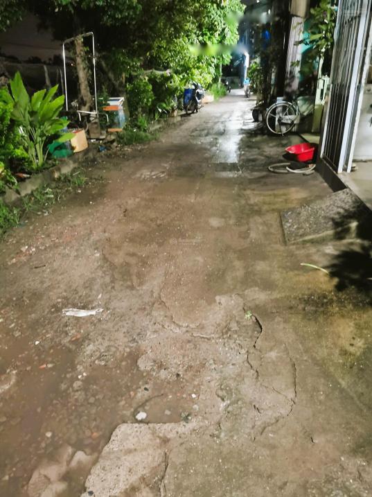4538069 ảnh đại diện 2