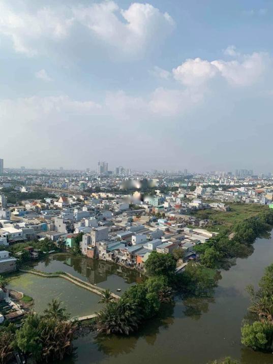 4538552 ảnh đại diện 2