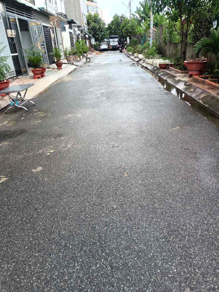 4537570 ảnh đại diện 2