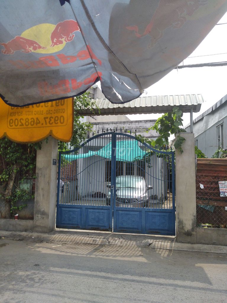4533950 ảnh đại diện 1