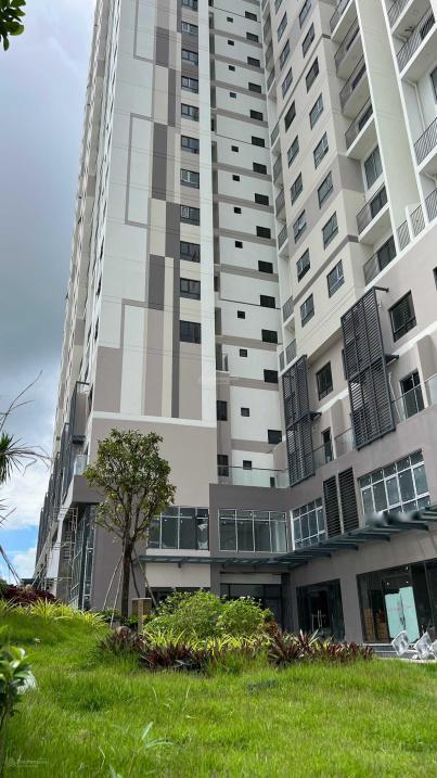 4538660 ảnh đại diện 1