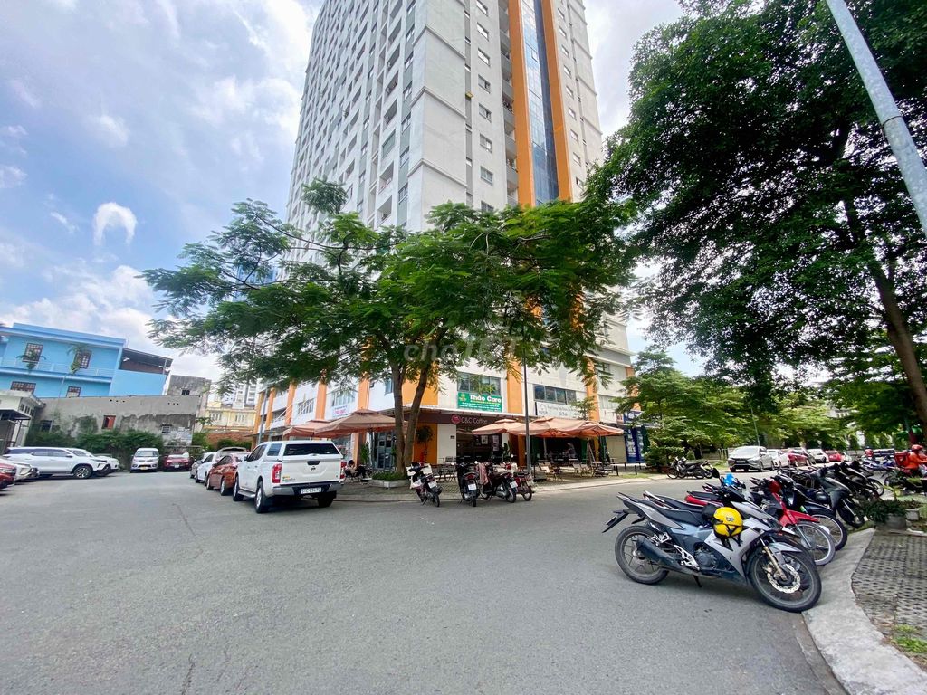 4539361 ảnh đại diện 2