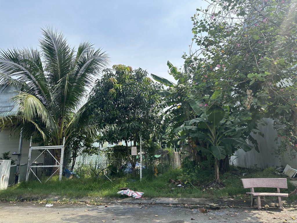 4534990 ảnh đại diện 2