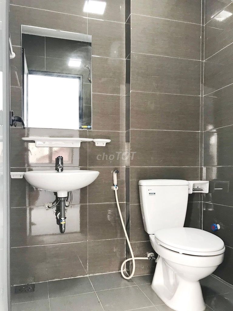 4536376 ảnh đại diện 1