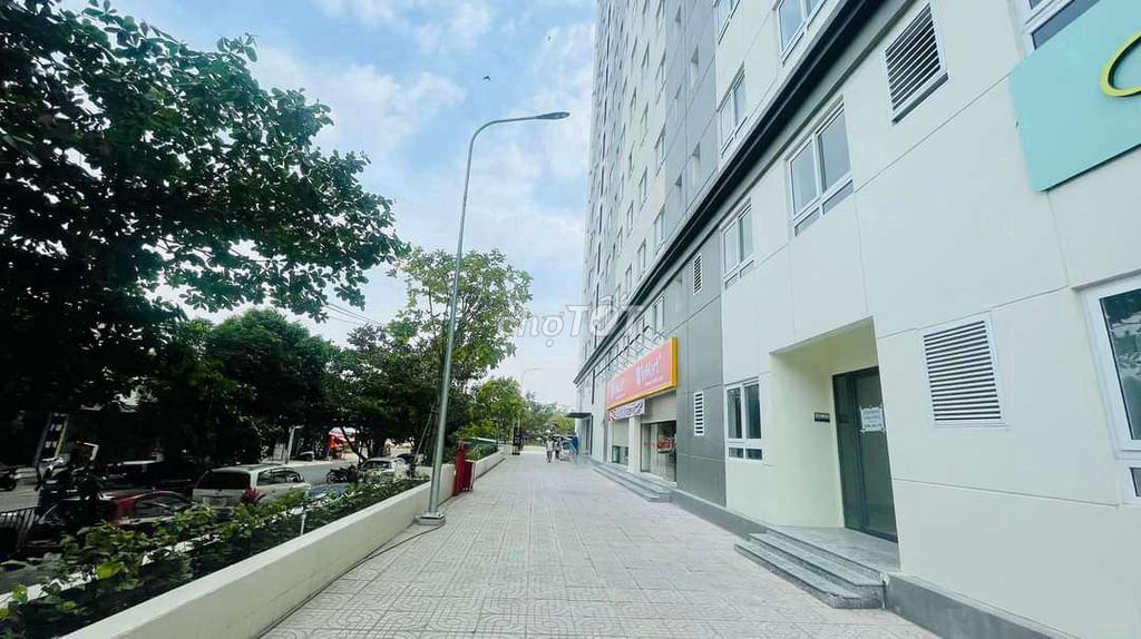 4545387 ảnh đại diện 1