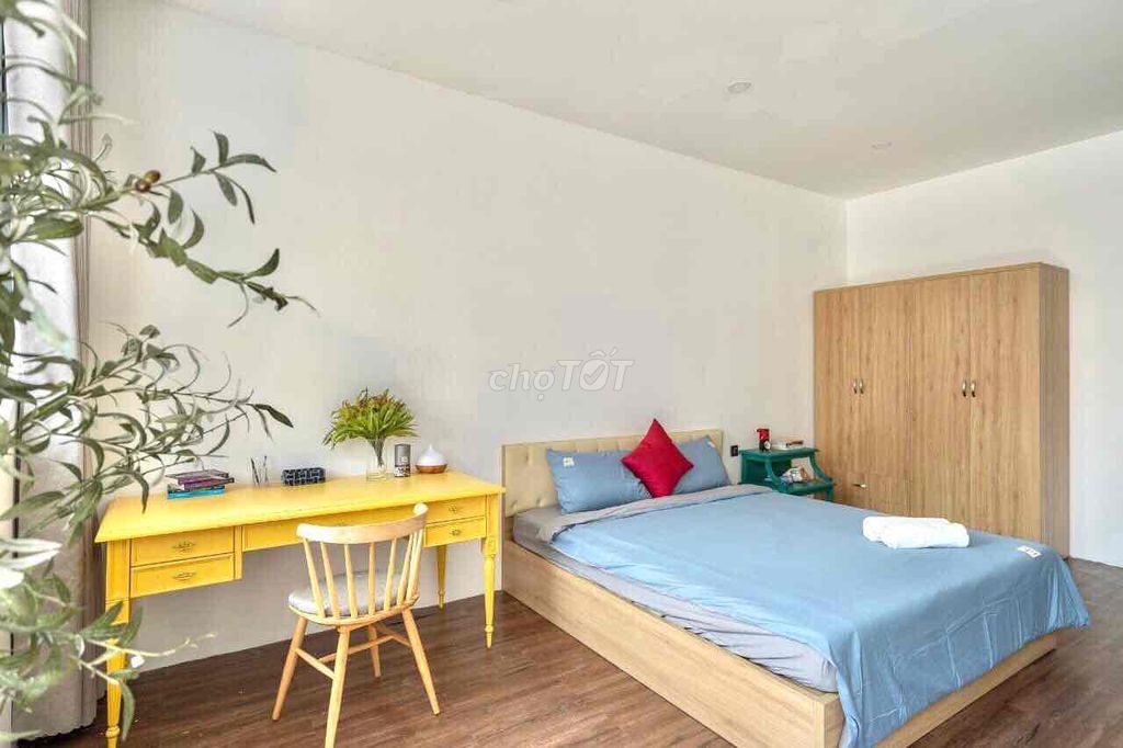 4540396 ảnh đại diện 2