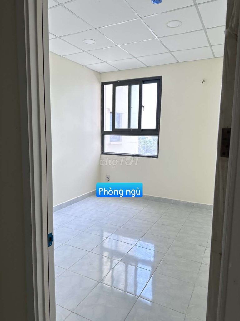 4542008 ảnh đại diện 1