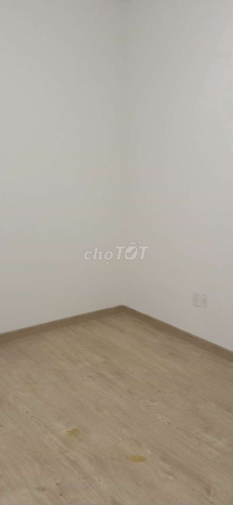 4541992 ảnh đại diện 2