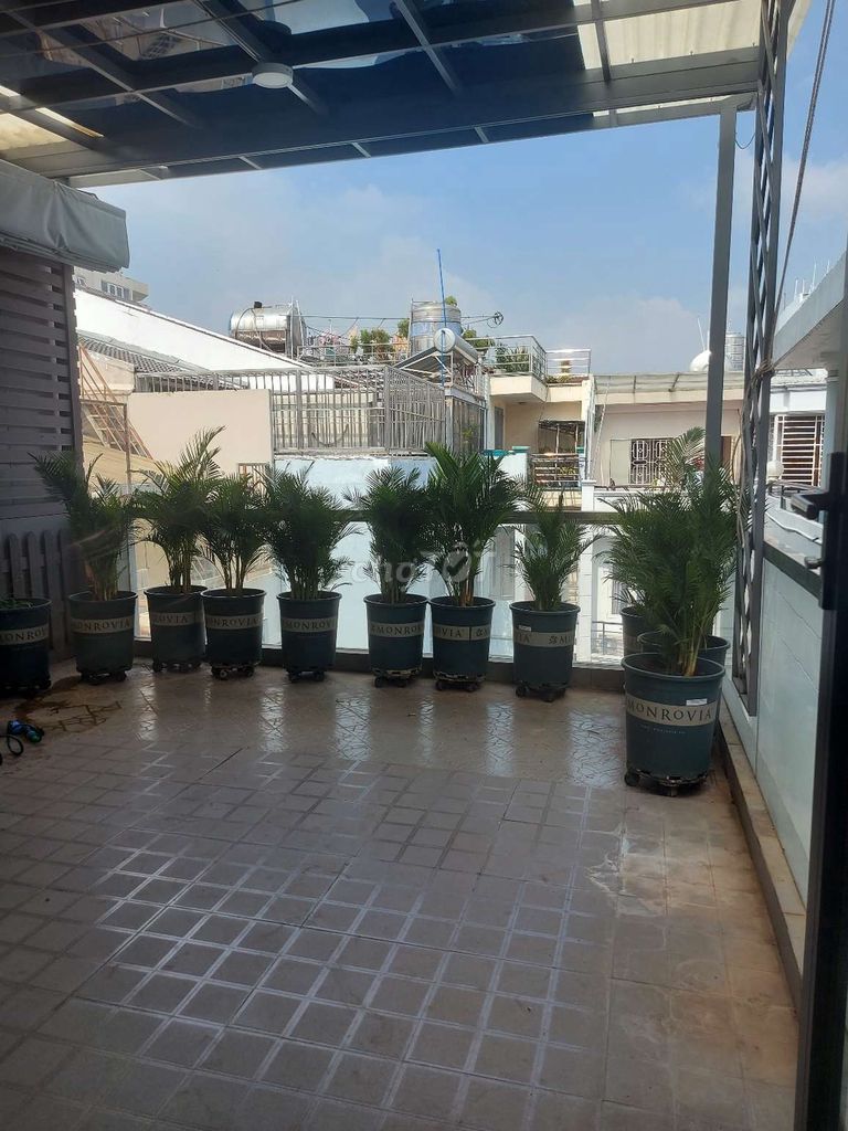 4552817 ảnh đại diện 1
