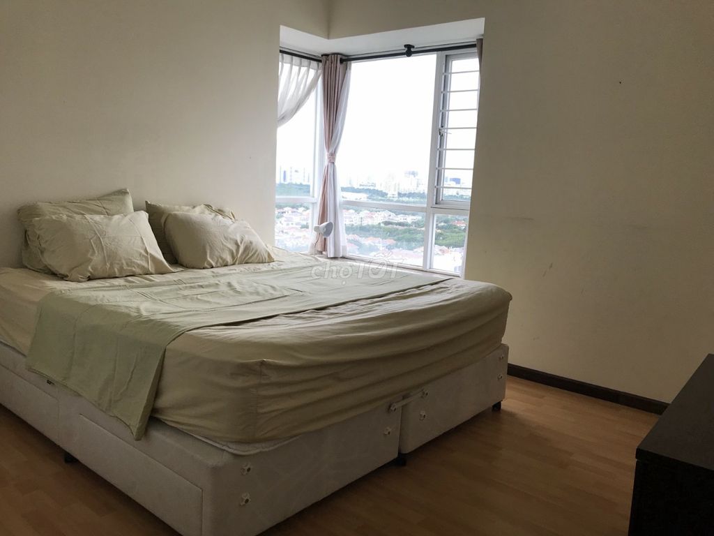 4552962 ảnh đại diện 1