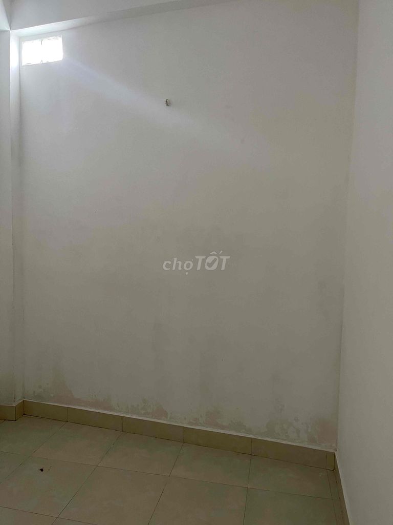 4546914 ảnh đại diện 1