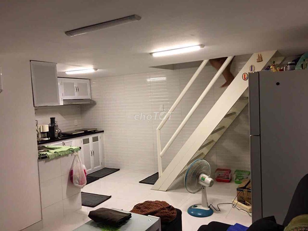 4550909 ảnh đại diện 1