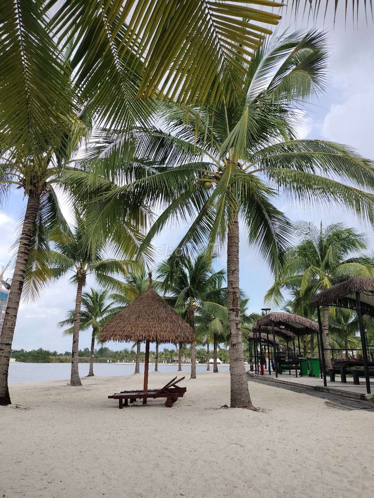4551704 ảnh đại diện 2