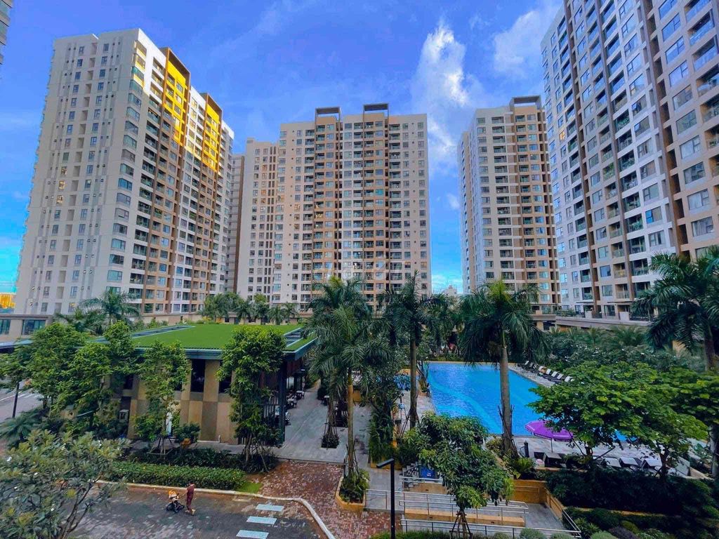 4546976 ảnh đại diện 1