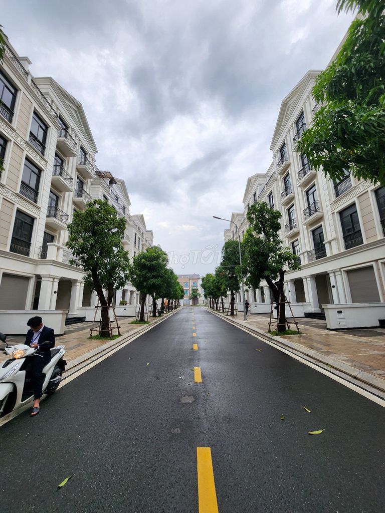 4552995 ảnh đại diện 2