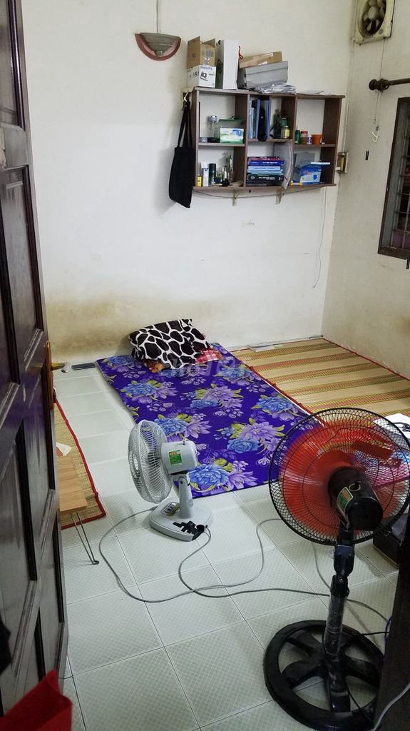 4556939 ảnh đại diện 1