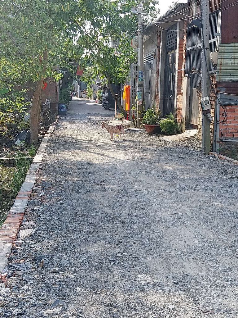 4554560 ảnh đại diện 1