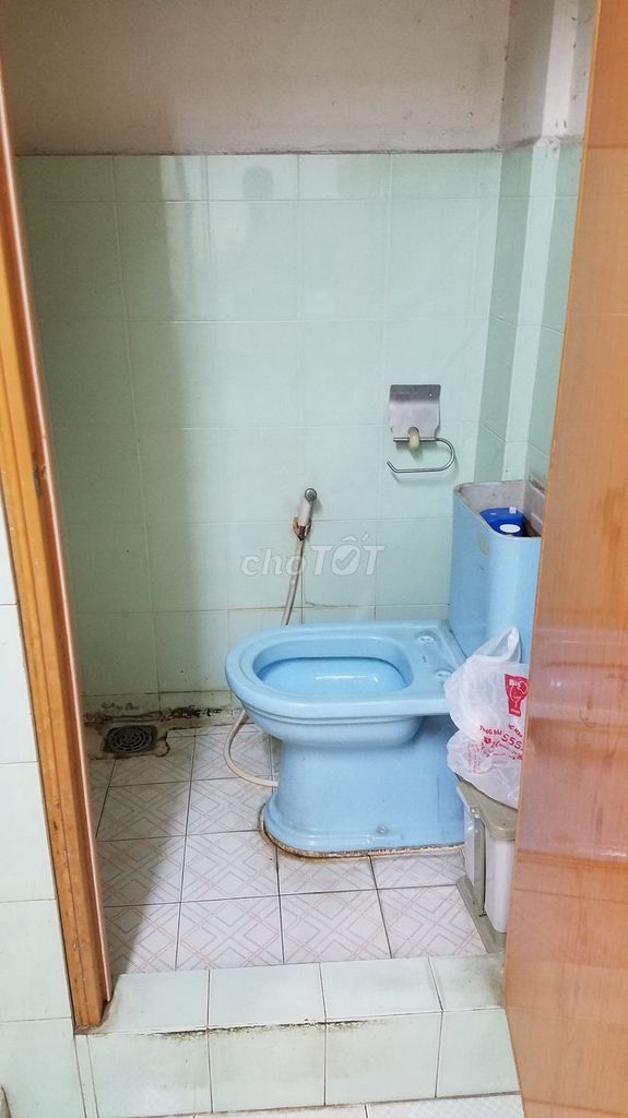 4556939 ảnh đại diện 2