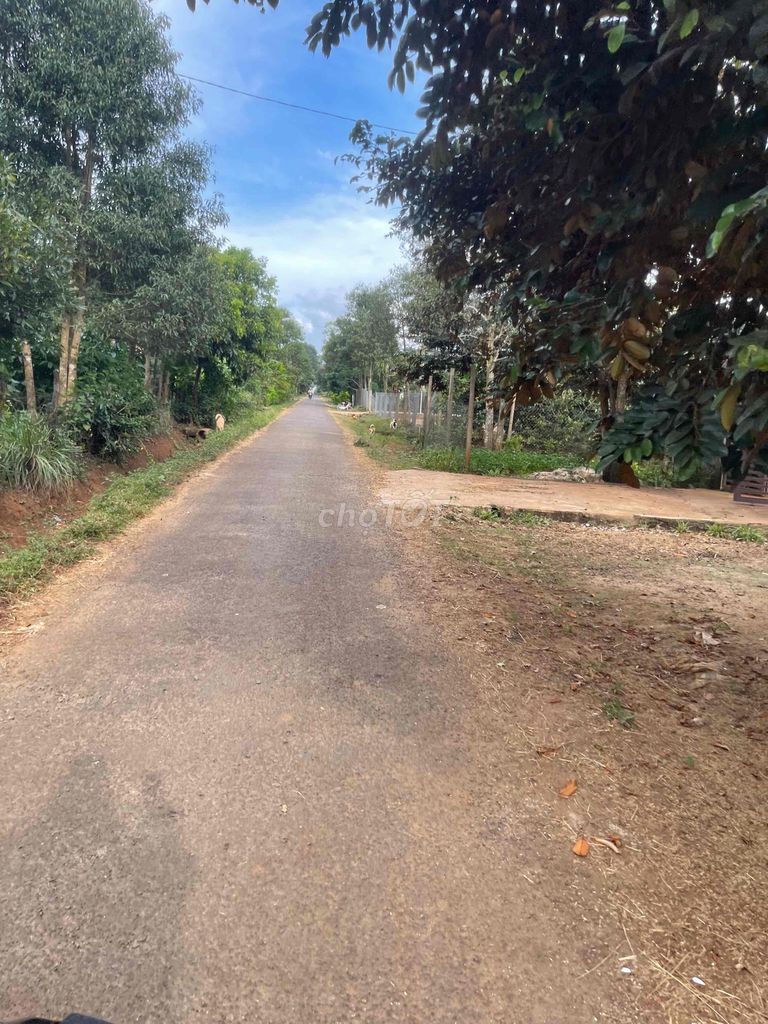 4569398 ảnh đại diện 2