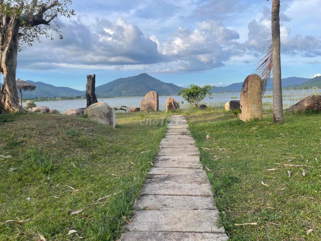 4569398 ảnh đại diện 1