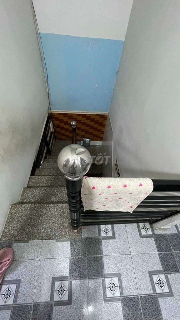 4566839 ảnh đại diện 1