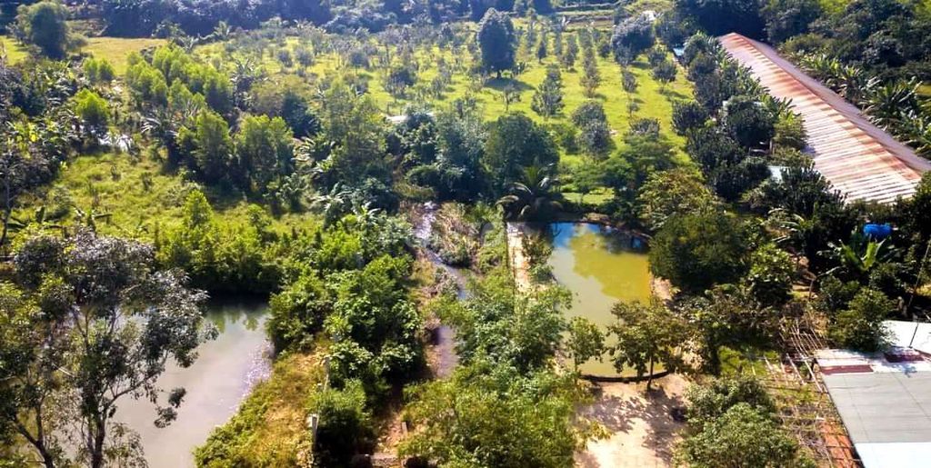 Bán Nhà Vườn 2Ha View Suối Bao Quanh Đất Rất Đẹp Trên Hòa Ninh.