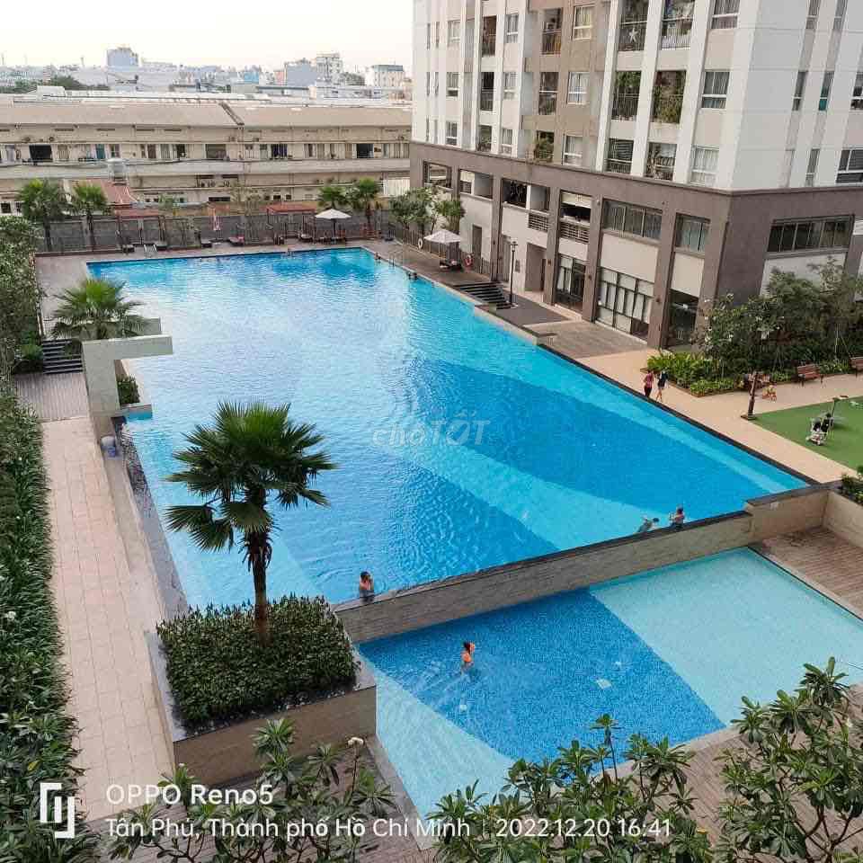 4572143 ảnh đại diện 1