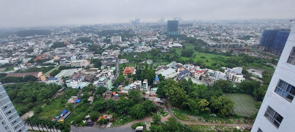 4573079 ảnh đại diện 1
