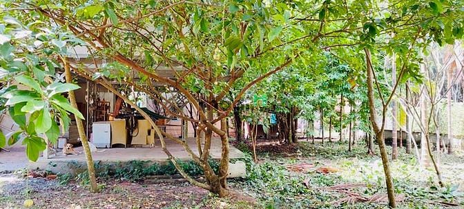 Cần Bán Nhà Vườn Nghĩ Dưỡng 1653M2 Xã Phú Hoà Đông , Củ Chi , Giá Rẻ