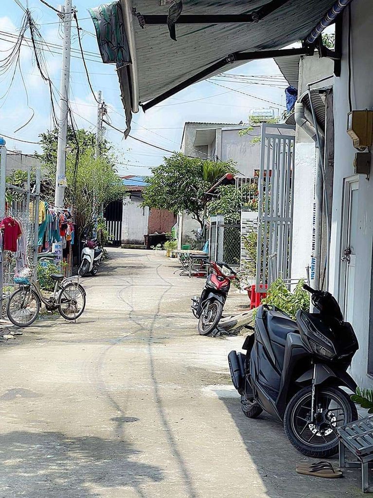 4583307 ảnh đại diện 2