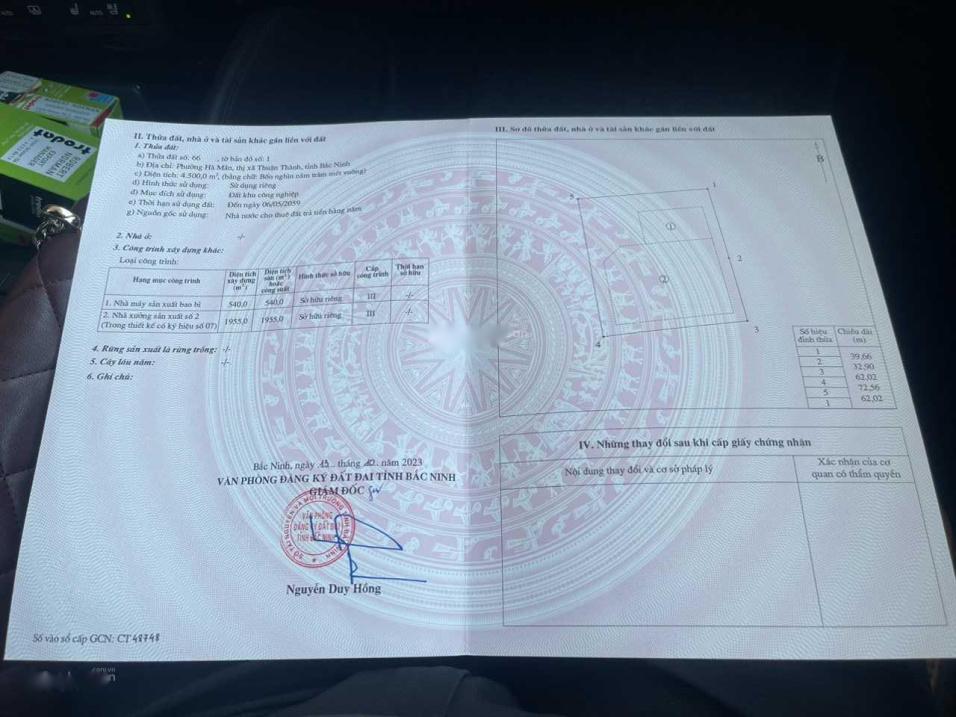 4582451 ảnh đại diện 2