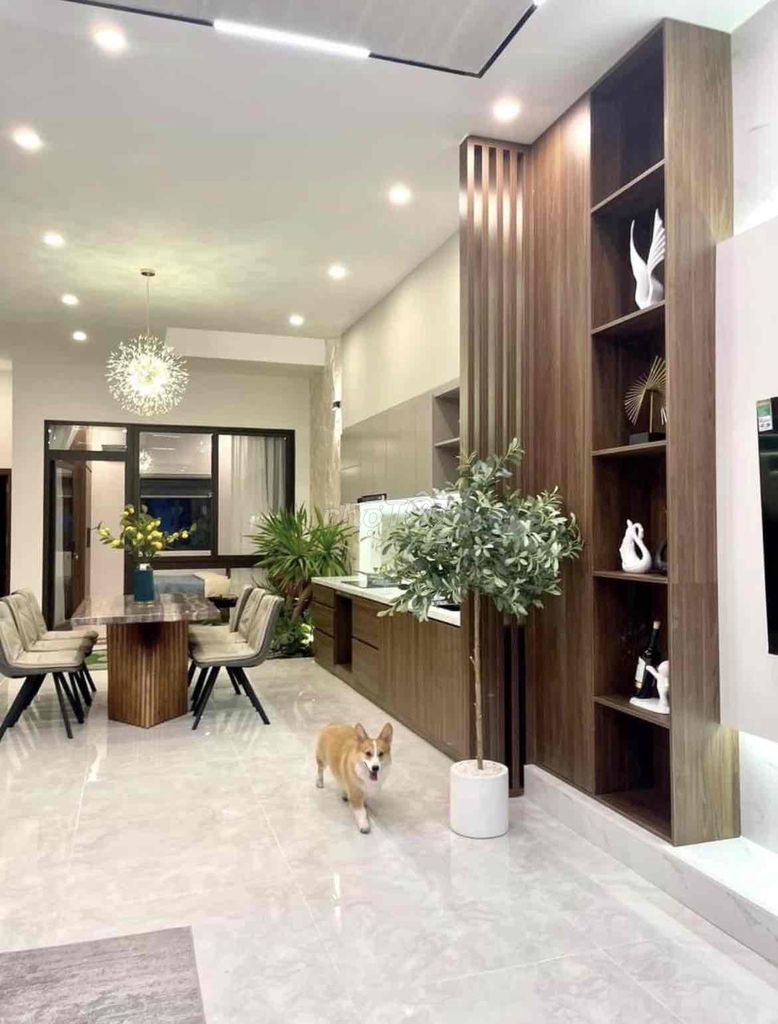 4577786 ảnh đại diện 2