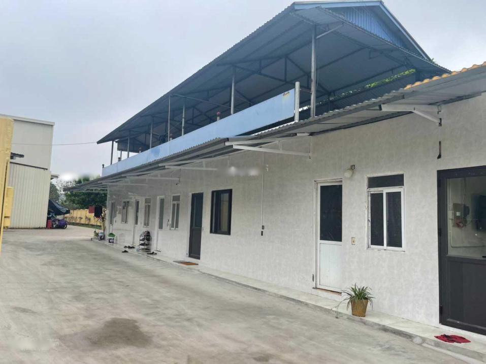 4582451 ảnh đại diện 1