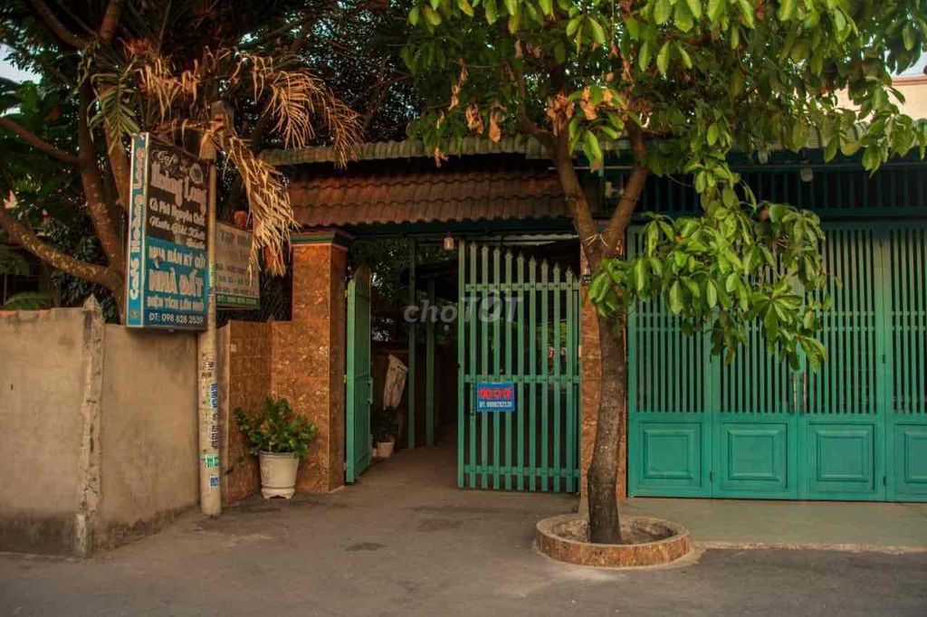 4588934 ảnh đại diện 1