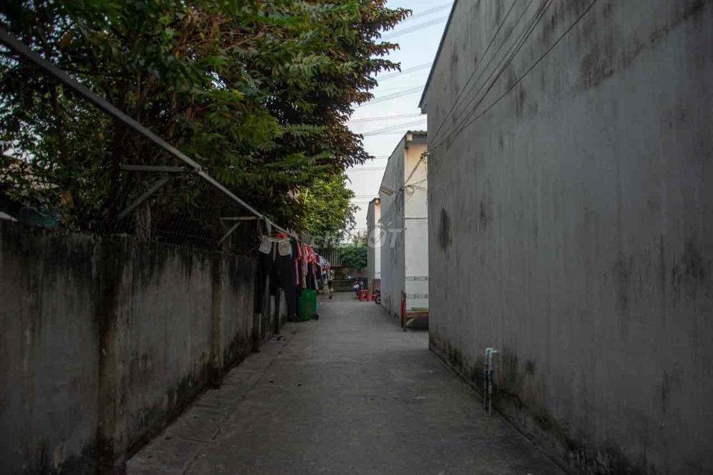 4588934 ảnh đại diện 2