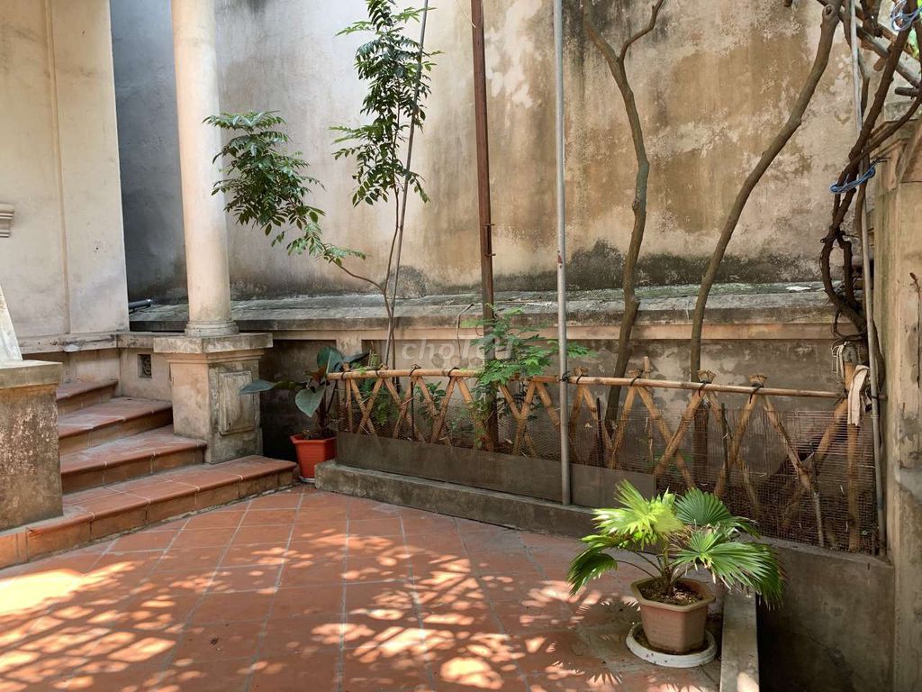 4584457 ảnh đại diện 2