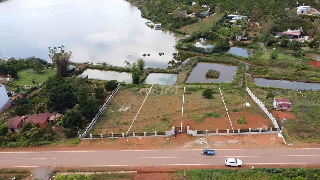 4586616 ảnh đại diện 1