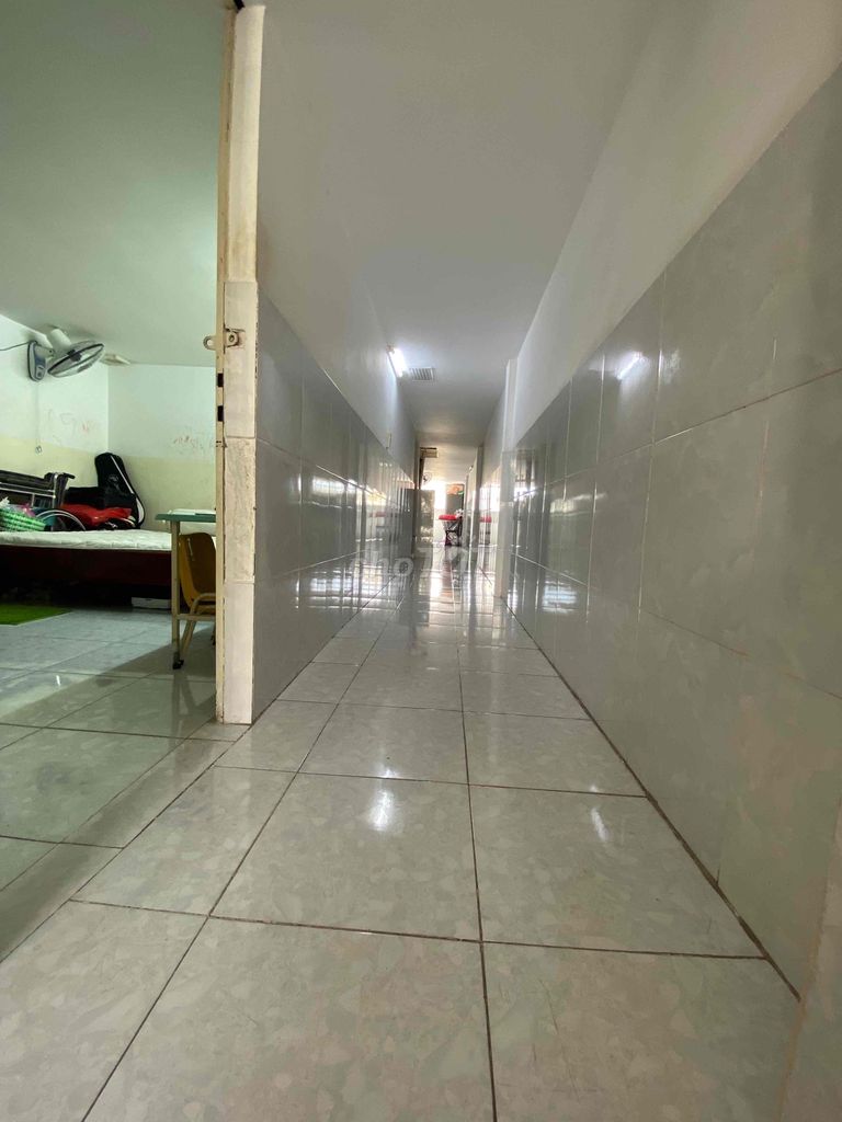 4587776 ảnh đại diện 2