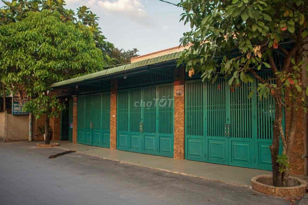 4588934 ảnh đại diện 1