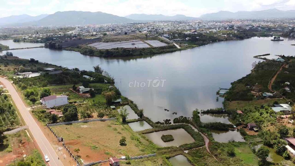 4586616 ảnh đại diện 2